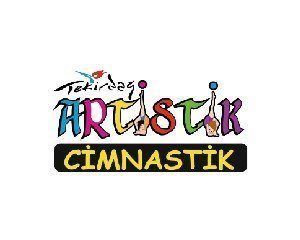 Artistik Cimnastik